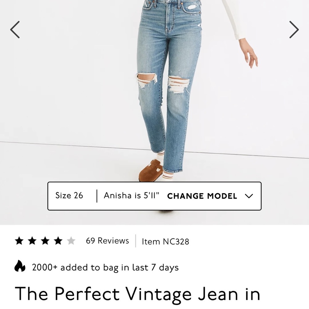 Madewell Pefect Vintage Jean